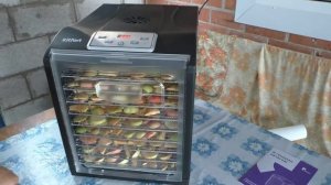 Сушу яблоки. Обзор сушилки для овощей и фруктов Kitfort KT-1908