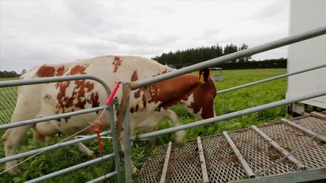 They’ve Got Tech: Next-Gen Farmers – Mobile Milking Solution смотреть онлайн