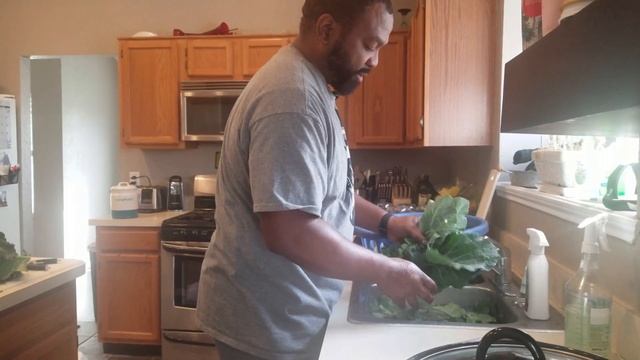 How To Harvest Collard Greens So It Keeps Growing смотреть онлайн
