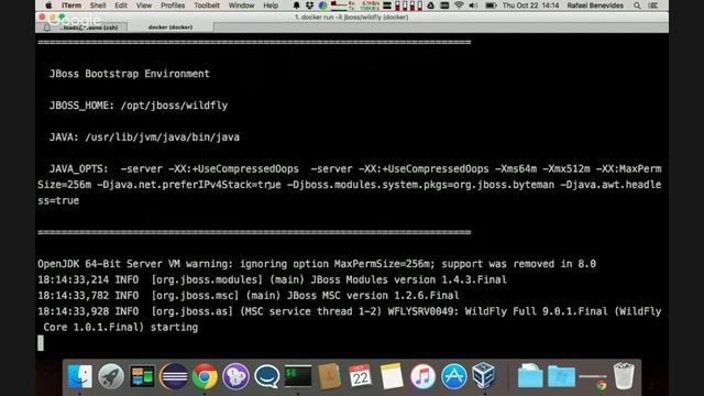 Developer Interview (#DI18) - Rafael Benevides about Docker for Java EE Developers смотреть онлайн