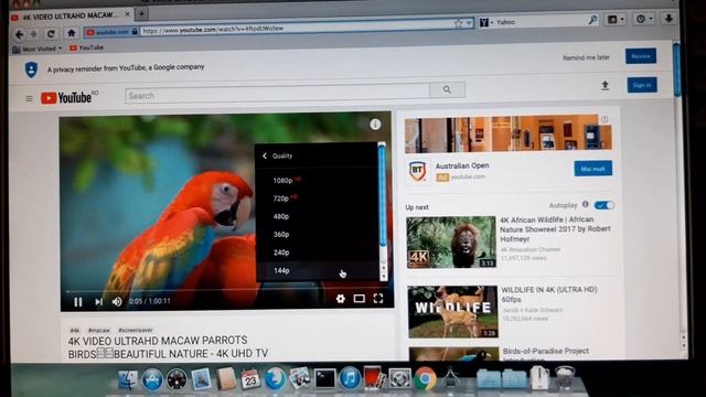 Youtube in Arctic Fox browser for Mac, tested in 2020 on a 2007 mac mini 2.1 смотреть онлайн