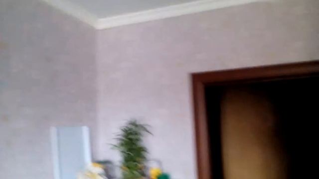 (Вызов духов)-Вызываем солнечного зайчика. (Безопасный) смотреть онлайн