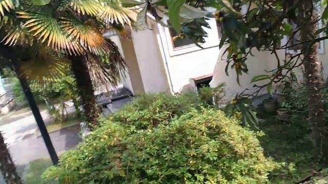 Мушмула на даче Сталина в Абхазии смотреть онлайн