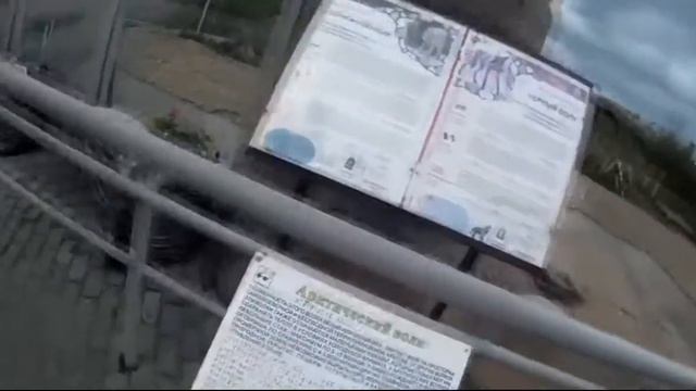 EeOneGuy с Марьяной Ро Лололошкой и с Катей Клэп в зоопарке как это мило!) смотреть онлайн