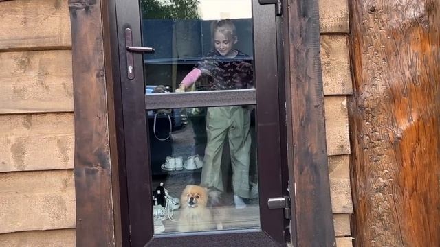 РЕАКЦИЯ ДОЧКИ на ЛОШАДЬ ! ПЕРВАЯ ВСТРЕЧА ! смотреть онлайн