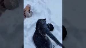 пантера Луна, обожаю её.