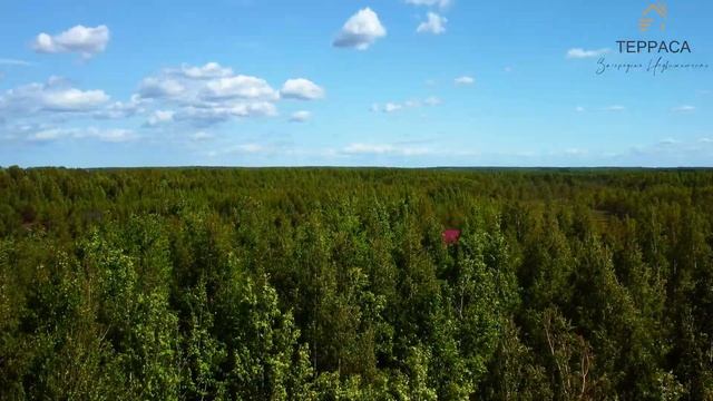 ✨УЧАСТОК В СКАЗОЧНОМ ЛЕСУ | Газ | Водоснабжение | ж/д станция |