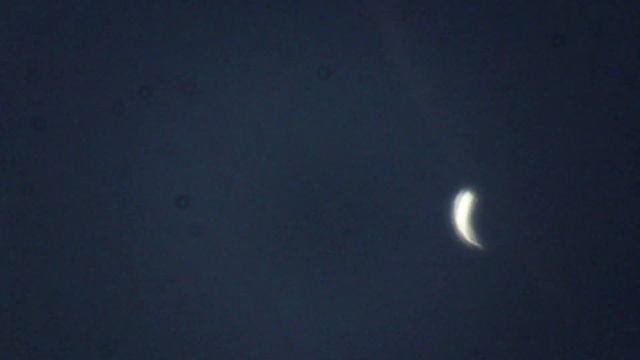 Покрытие Венеры Луной 19 июня 2020 смотреть онлайн