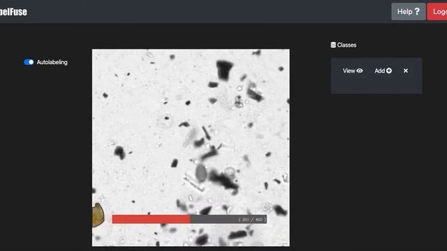 Automated image labeling - Labeled 400 images in just seconds! смотреть онлайн