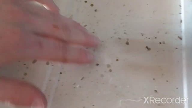 ремонт микроволновки gorenje замена лампочки (не светит) смотреть онлайн