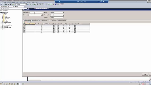 Delphi - Controle de estoque - Com Lotes e Endereçamento - Aula1 смотреть онлайн