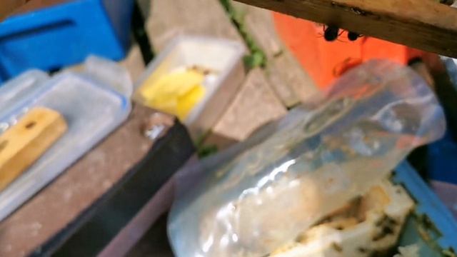 Как всё было, сезон 2022 23. August 2022 смотреть онлайн