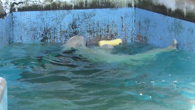 Ответ на вопрос - Как?