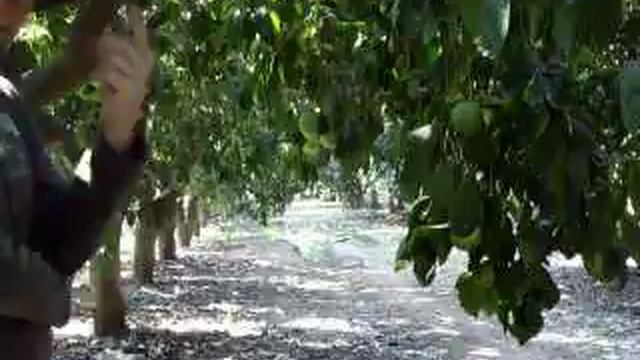 Ограничено число фото на О-ки - прямая дорога к альтернативному фотохостингу (новость и совет)