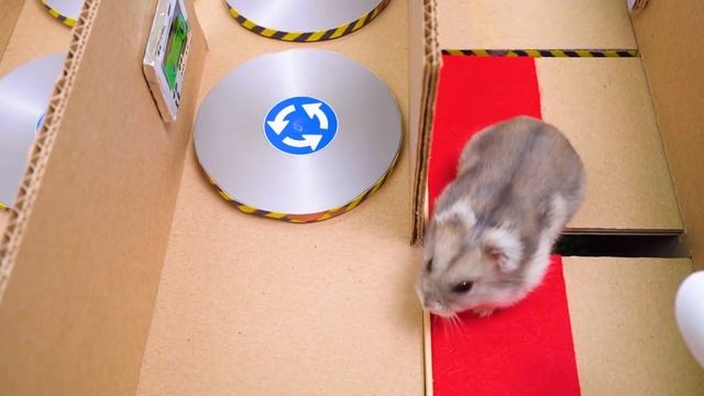 Лучшие Испытания для Хомяка 2 - Хомяк сбегает из Самых Удивительных Лабиринтов ? Хомура Хам Питомцы смотреть онлайн
