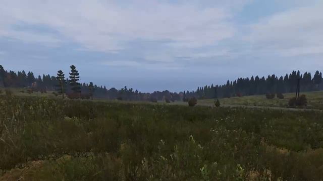 DayZ - Заходи на огонёк браток ! смотреть онлайн