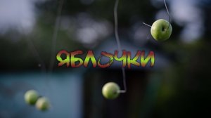 ЯБЛОЧКИ — короткометражный фильм