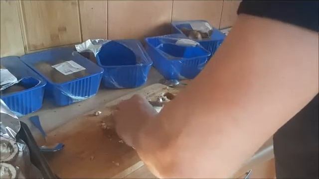 Фаршированные грибы шампиньоны с курицей и сыром смотреть онлайн