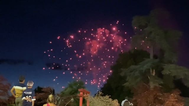 La Fete Nationale - День Взятия Бастилии !!! FRANCE 14.07.22 смотреть онлайн