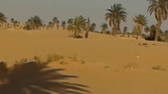 Ouargla смотреть онлайн