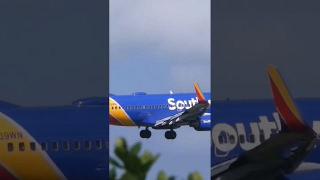 #southwest #short Punta Cana international Airport ?? смотреть онлайн