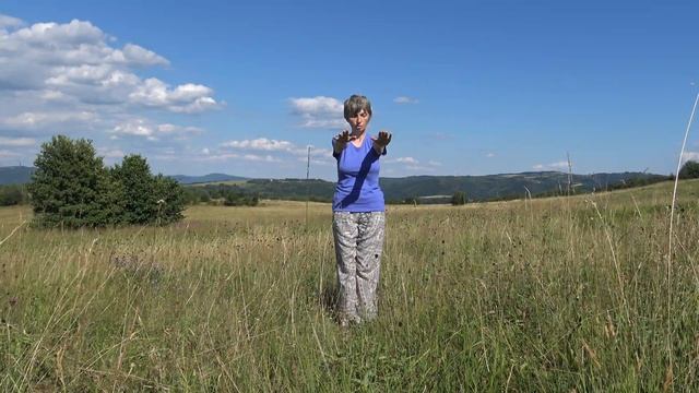 Zhineng Qigong Bulgaria - Жиниен Чигун смотреть онлайн
