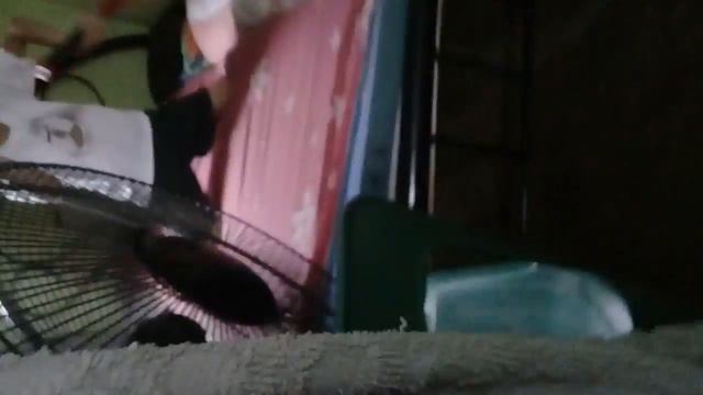 Ang laban nila joe gibson at goro смотреть онлайн