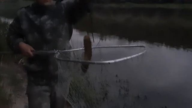 НОЧНАЯ РЫБАЛКА НА МЕДВЕДКУ НА ДОНУ смотреть онлайн