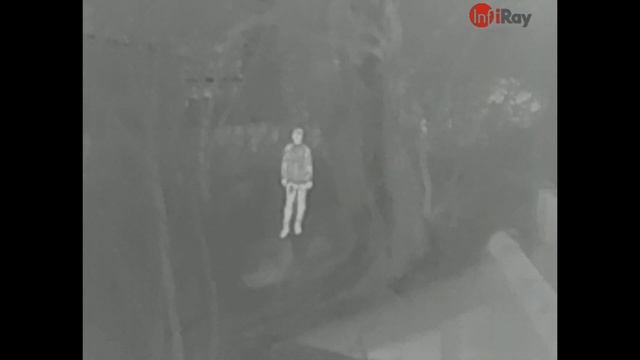 Тепловизор iRay за 36 тыс. Обзор и тест. смотреть онлайн