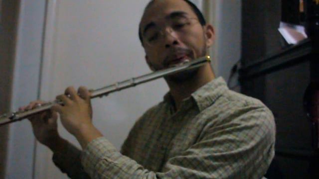 Flute Cover - Harry Potter - Harry's Wonderous World (By John Williams) смотреть онлайн