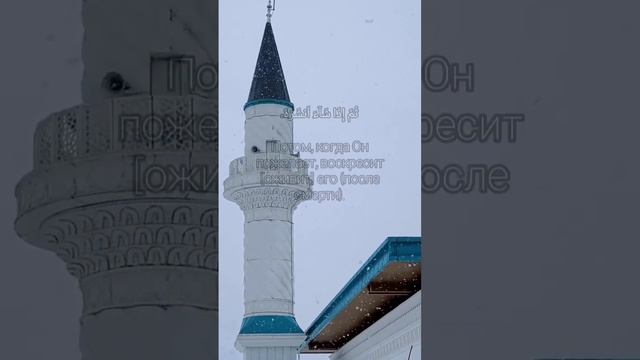30 джуз Сура 1абаса Нахмурился #коран смотреть онлайн