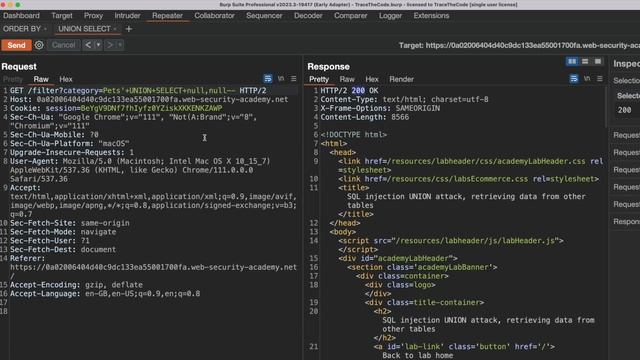 SQL Injection Tutorial For Beginners смотреть онлайн