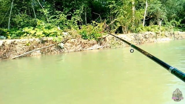 Рыбалка на донку на реке Ходзь смотреть онлайн