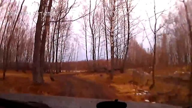 Нива шевроле мини геокешинг смотреть онлайн