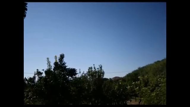 CZARDAS * Chitarra e mandolino * live music смотреть онлайн