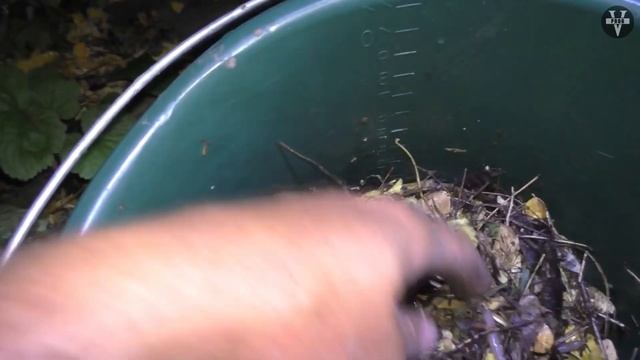 ЧЕРВИ. Какой червь лучше для рыбалки.