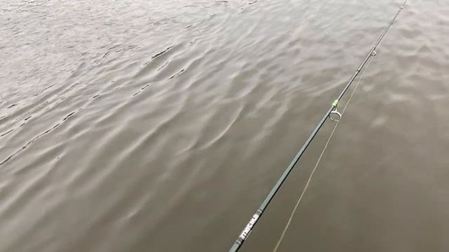 Платная рыбалка. Пионерский смотреть онлайн