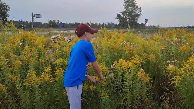 Приятный сюрприз смотреть онлайн