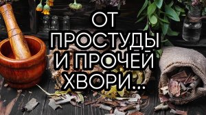ОТ ПРОСТУДЫ И ПРОЧЕЙ ХВОРИ...ДЛЯ ВСЕХ...