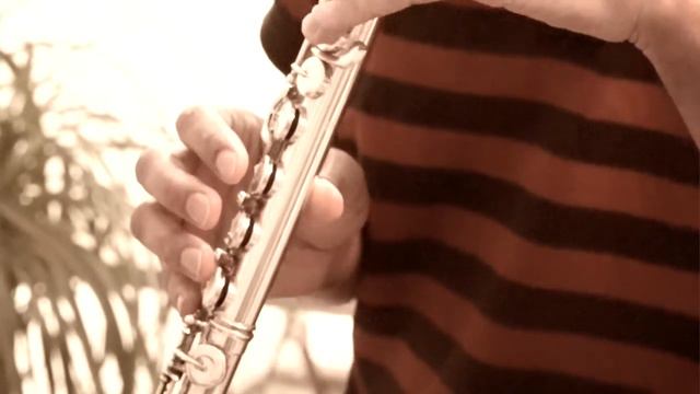 Chahargah Improvisation with Flute смотреть онлайн
