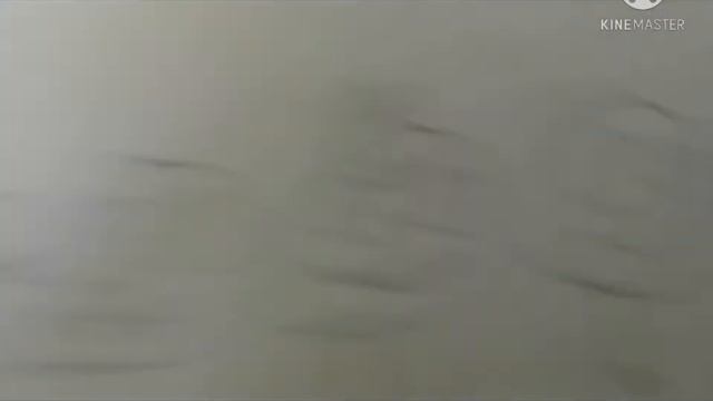 нума на канале Карусель смотреть онлайн
