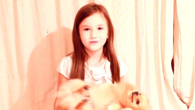 VLOG: САМОЕ МИЛОЕ ВИДЕО /СОБАЧКИ ПОРОДЫ ШПИЦ смотреть онлайн