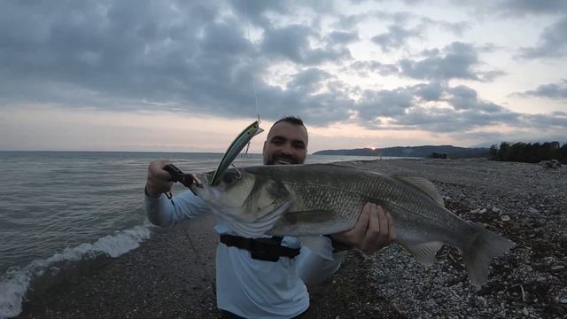 Ловля крупного сибаса/лаврака в Чёрном море на спиннинг / Seabass fishing in the Black sea смотреть онлайн