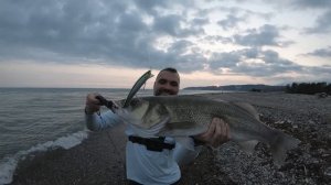 Ловля крупного сибаса/лаврака в Чёрном море на спиннинг / Seabass fishing in the Black sea