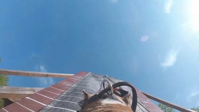 Wall climbing АСТ КЭП смотреть онлайн