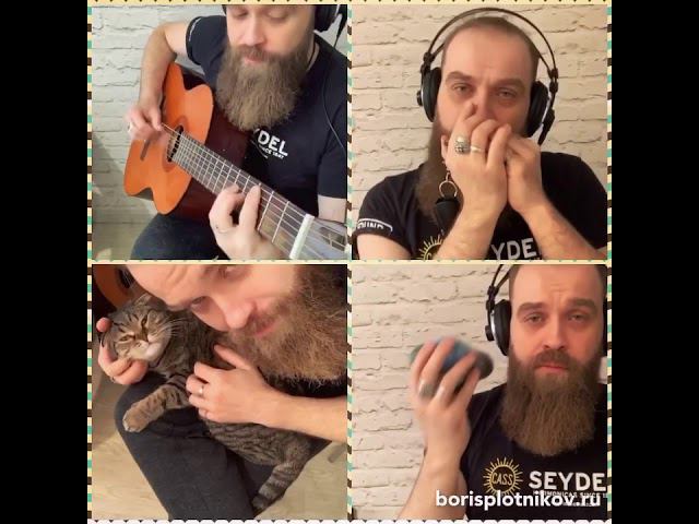 Fly Me To The Moon - Bart Howard harmonica cover by Boris Plotnikov смотреть онлайн