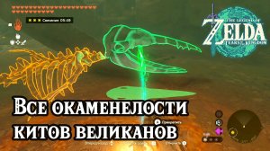 Скелеты китов великанов. The Legend of Zelda Tears of the Kingdom. All Colossal Fossils