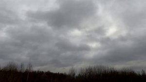 ВПО-208 (366 ткм), Кион-13))) Загонная охота на лося 13.11.2021 ! (18+)