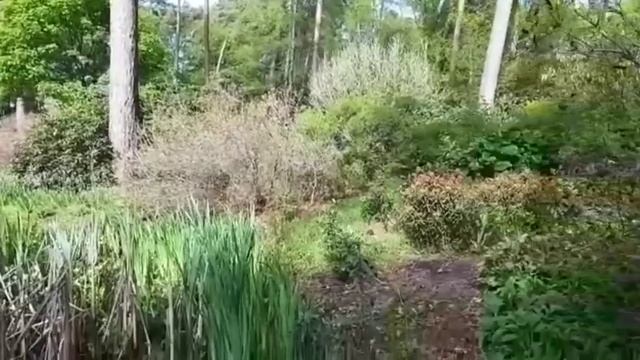 В зимние вечера,когда на улице холодно, мы вспоминаем лето!Отпуск в Альпах! смотреть онлайн