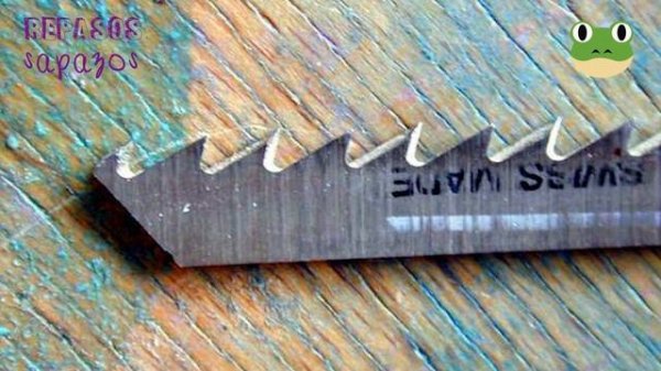 Los Dinosaurios - Episodio 19: Thecodontosaurus (Lagarto con Dientes en Cuencas)